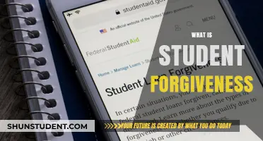 Understanding Student Loan Forgiveness: A Guide to Debt Relief for Borrowers