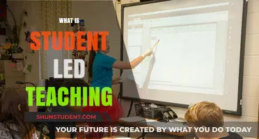 Empowering Learners: Understanding the Concept of Student-Led Teaching