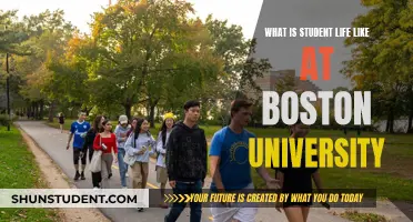 Exploring Boston University: A Student's Guide to Campus Life