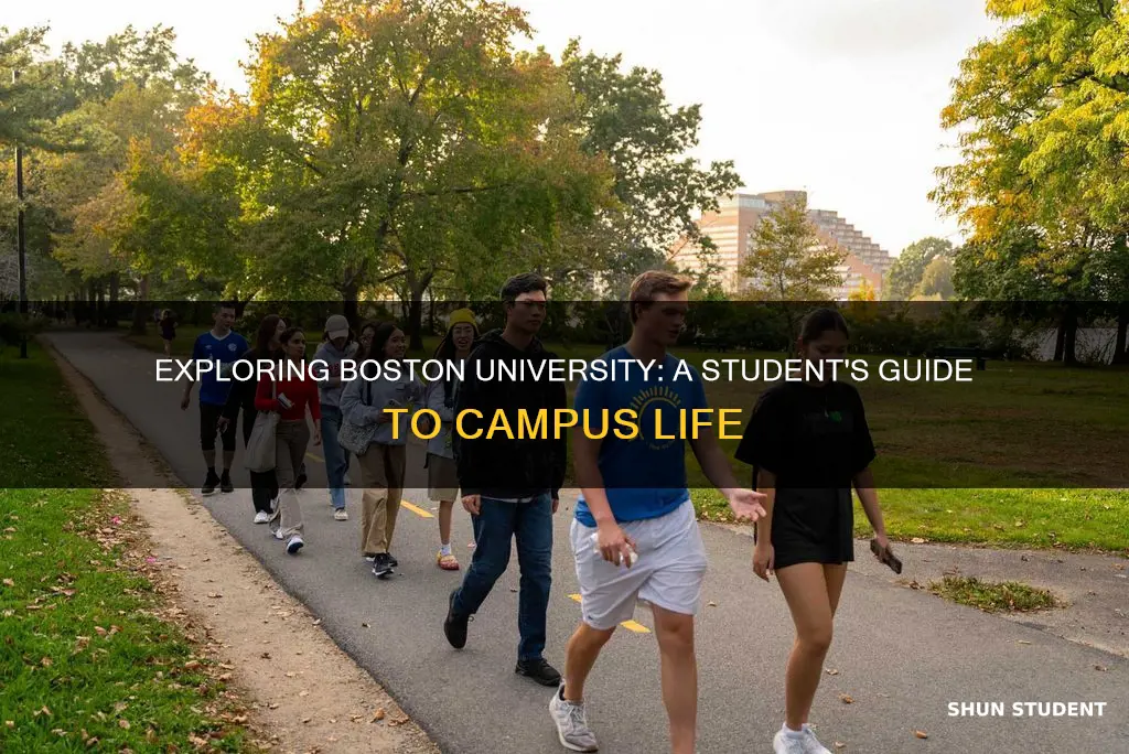 what is student life like at boston university