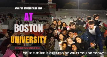 Exploring Student Life at Boston University