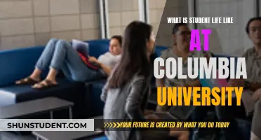 Unveiling the Secrets: A Day in the Life of a Columbia Student