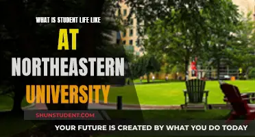 Northeastern University: A Vibrant Student Experience Unveiled