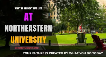 Exploring Student Life at Northeastern University