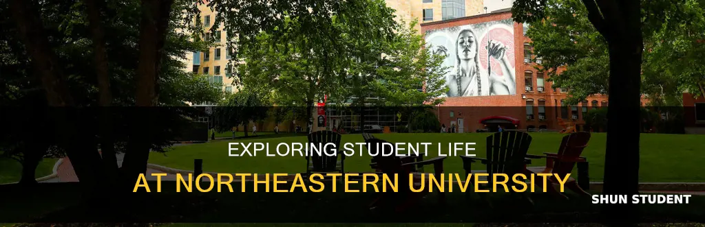 what is student life like at northeastern university