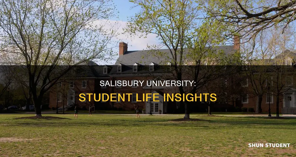what is student life like at salisbury university