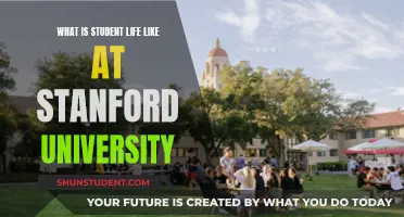 Exploring Stanford's Vibrant Campus: A Student's Guide to Life in Silicon Valley