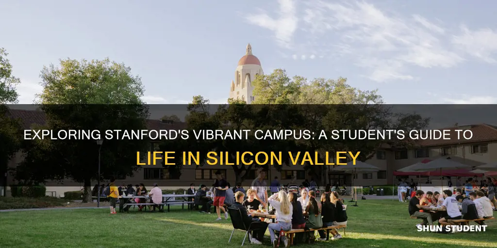 what is student life like at stanford university