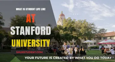 Stanford Student Life: An Insider's Perspective