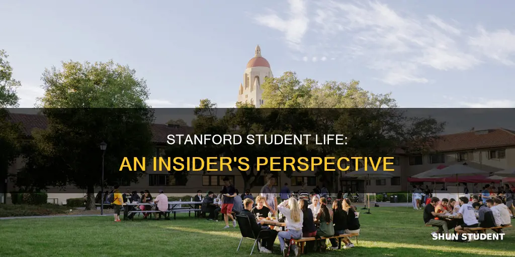 what is student life like at stanford university
