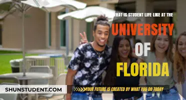 Exploring Student Life at the University of Florida