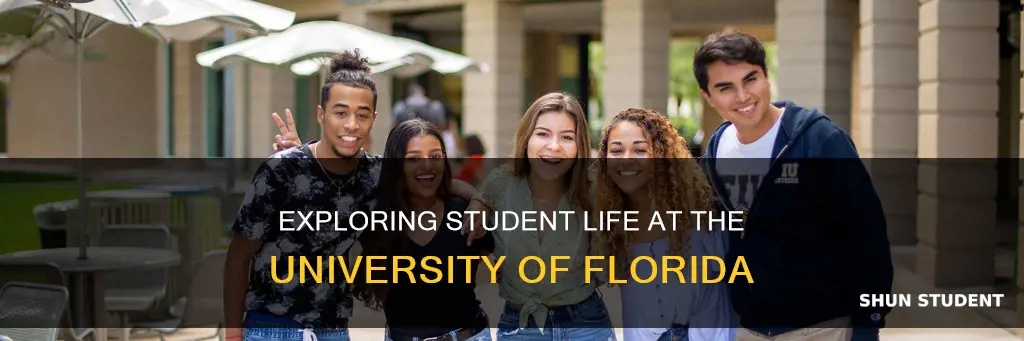 what is student life like at the university of florida