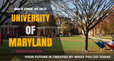 Exploring Student Life at the University of Maryland