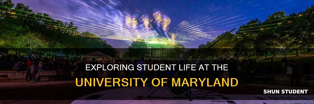what is student life like at university of maryland