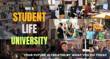 Exploring the University Experience: Student Life Unveiled