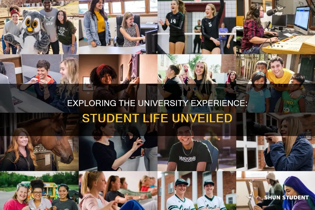 what is student life university