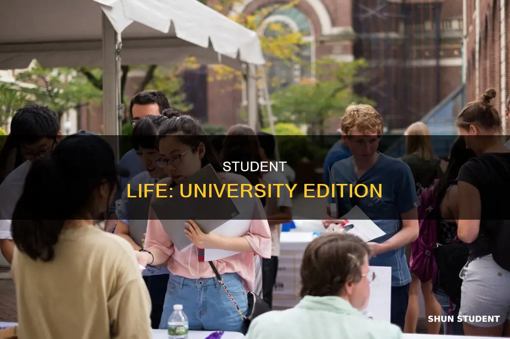 what is student life university