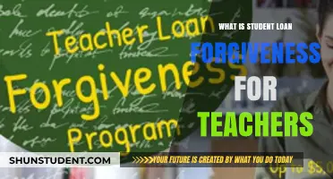 Teacher Loan Forgiveness: Understanding Debt Relief for Educators