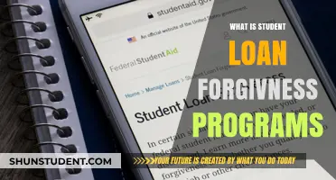 Understanding Student Loan Forgiveness Programs: A Comprehensive Guide for Borrowers