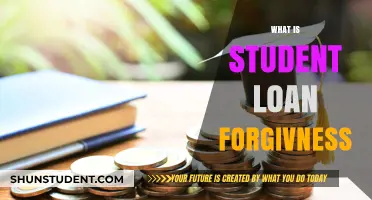Understanding Student Loan Forgiveness: A Comprehensive Guide to Debt Relief