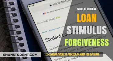 Understanding Student Loan Stimulus Forgiveness: A Comprehensive Guide for Borrowers