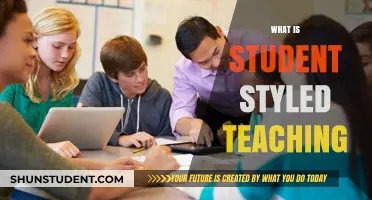 Student-Styled Teaching: Empowering Learners Through Personalized Education Methods