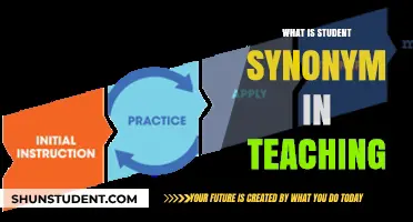 Understanding the Role of a Learner in the Teaching Process
