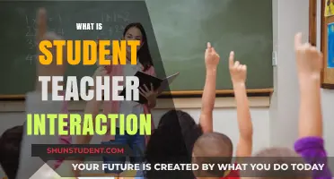 Enhancing Learning: The Role of Student-Teacher Interaction in Education