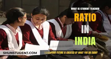 Understanding India's Student-Teacher Ratio: Challenges and Implications for Education