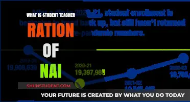 Understanding the Student-Teacher Ratio in Nai's Educational System