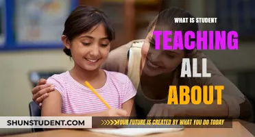 Unveiling the Student Teaching Journey: Purpose, Challenges, and Growth