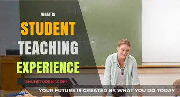 Exploring the Student Teaching Experience: Challenges, Growth, and Insights