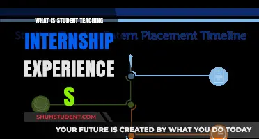 Exploring Student Teaching Internships: Real-World Learning and Classroom Experience