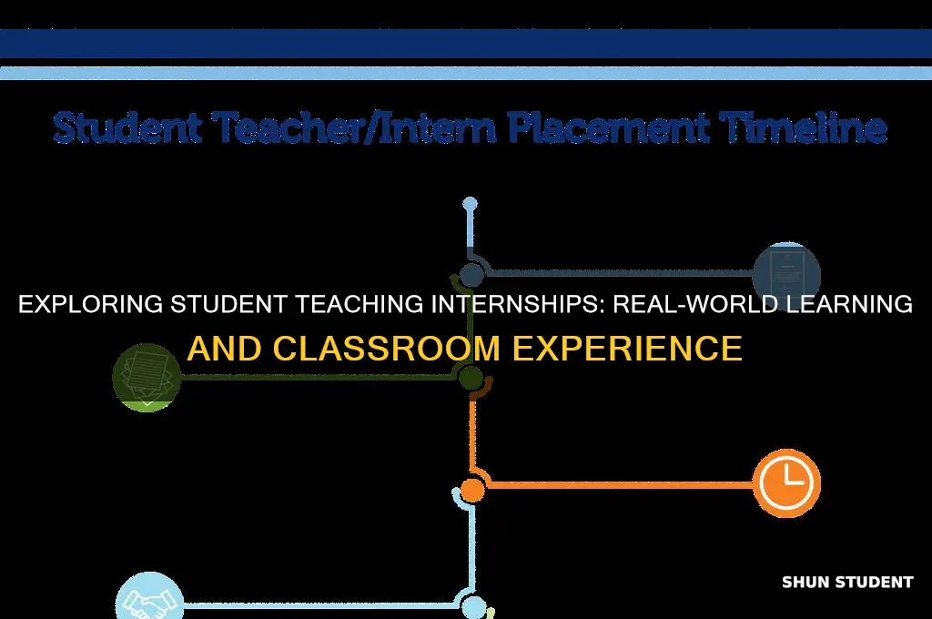 what is student teaching internship experience s