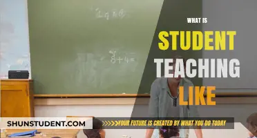 Exploring the Realities of Student Teaching: Challenges, Growth, and Rewards