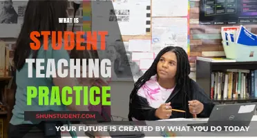 Exploring Student Teaching Practice: A Guide for Aspiring Educators