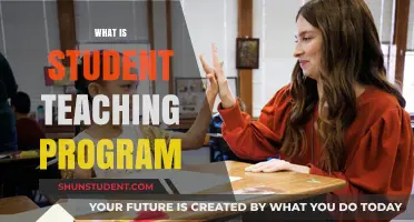 Exploring Student Teaching Programs: A Guide for Aspiring Educators