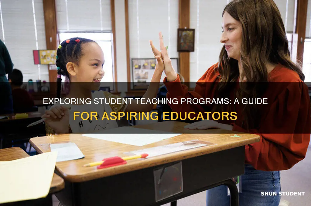 what is student teaching program