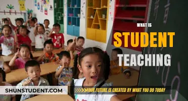 Exploring Student Teaching: A Beginner's Guide to Classroom Experience