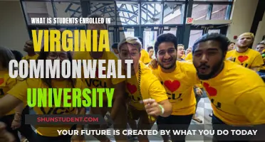 Understanding the Student Experience at Virginia Commonwealth University