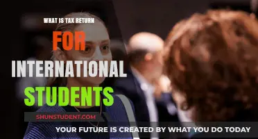 International Students: Understand Your Tax Returns