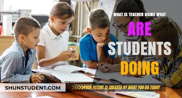 Teacher Roles vs. Student Activities: Understanding Classroom Dynamics