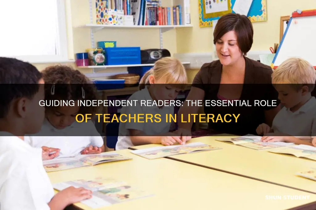 what is teacher role when students are reading independently