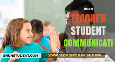 Effective Teacher-Student Communication: Building Connections for Learning Success