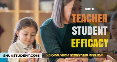 Understanding Teacher-Student Efficacy: Enhancing Classroom Success and Learning Outcomes