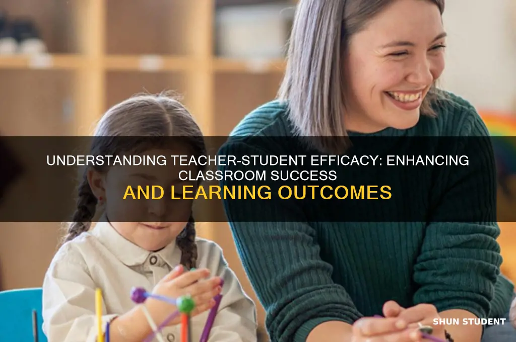 what is teacher student efficacy