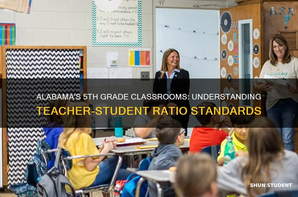 what is teacher student ratio for 5th grade in alabama