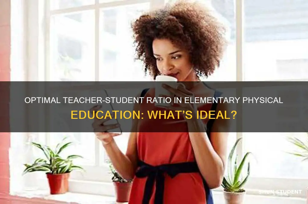 what is teacher student ration in elementary physical education