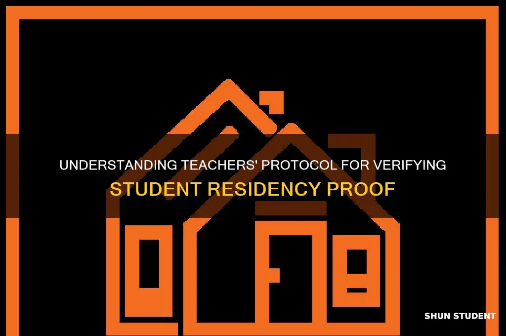 what is teacher