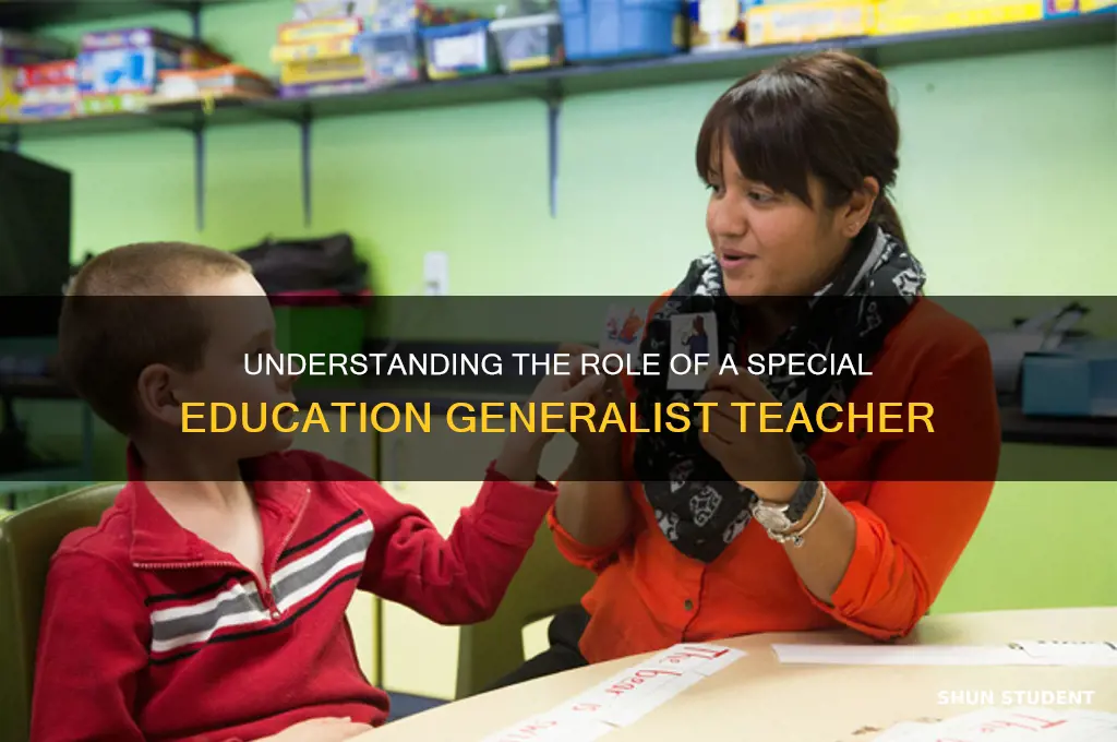 what is teaching students with disabilities generalist mean